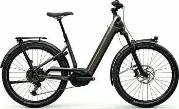 E-Bike Centurion Country R900 L 2026 L_Grau frei Haus