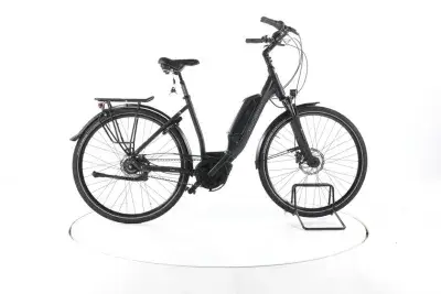 Gudereit EC-4.5 RT City E-Bike Tiefeinsteiger