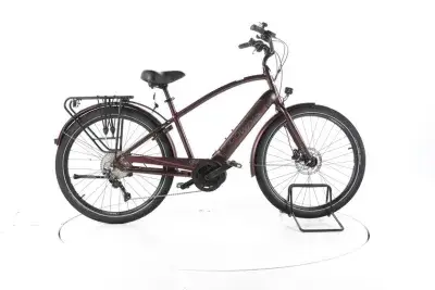 Electra Bicycle Townie Path Go! 10 EQ Trekking E-Bike