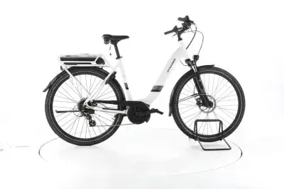 Dynamics E-Lite Trekking E-Bike Tiefeinsteiger
