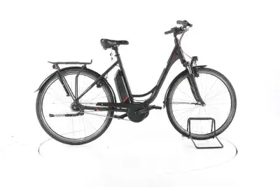 Raleigh eCity 7 City E-Bike Tiefeinsteiger