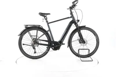 Pegasus Premio Evo 10 Lite Comfort Trekking E-Bike