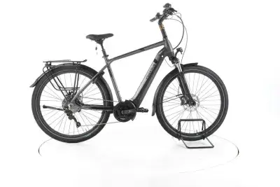 Pegasus Strong EVO 10 Trekking E-Bike