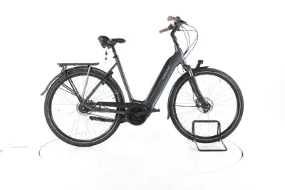 Batavus Finez E-go® Power Exclusive RT City E-Bike Tiefeinsteiger