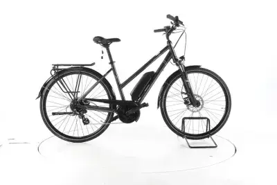 Triumph E-Bird Ultra Trekking E-Bike