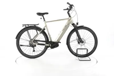 FALTER E 9.5 KS Trekking E-Bike