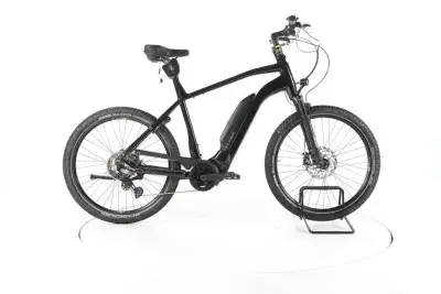FLYER Upstreet3 7.10 Trekking E-Bike