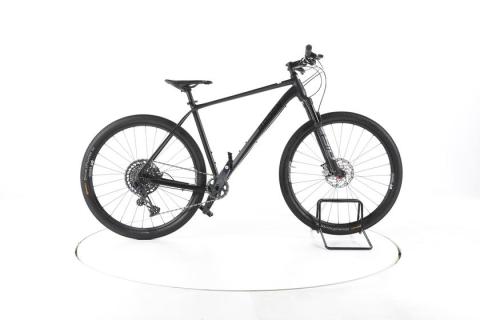 Radon Jealous AL 10.0 SL Fahrrad Hardtail