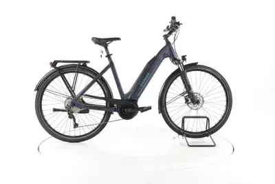 Carver Route E.420 Trekking E-Bike Tiefeinsteiger