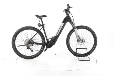 Bulls E-Stream EVO 1 E-Bike