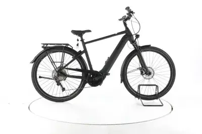 Pegasus Premio EVO 10 Lite Trekking E-Bike