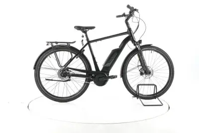 FALTER E 9.0 RT City E-Bike