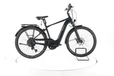 Pegasus Premio EVO 11 "40 Years" Trekking E-Bike
