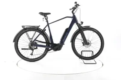 ADVANCED Trekking Plus Trekking E-Bike