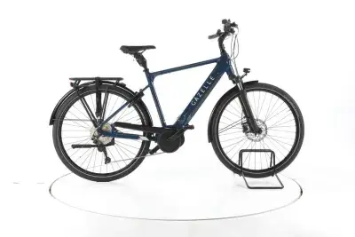 Gazelle Medeo Trekking E-Bike