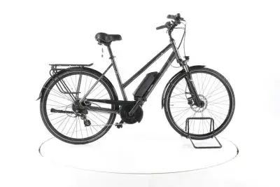 Triumph E-Bird Ultra 500 Trekking E-Bike