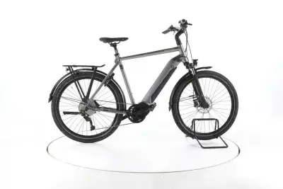 Winora Sinus iX10 Trekking E-Bike