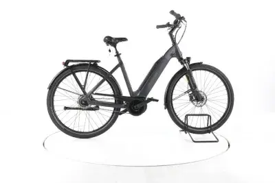 Carver Cityzen E.420 City E-Bike Tiefeinsteiger