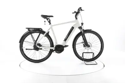 Rose XTRA WATT EVO PLUS 3 City E-Bike