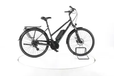 Triumph E-Bird Ultra 400 Trekking E-Bike