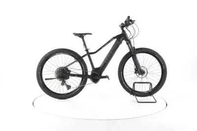 Axess Element E-Bike