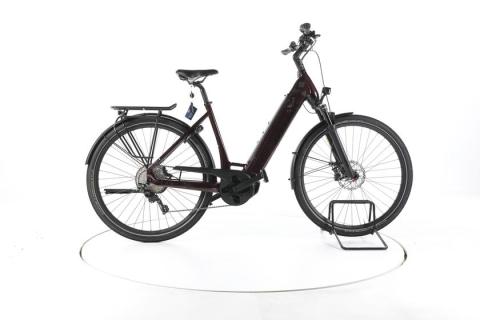 Stevens E-Triton Trekking E-Bike Tiefeinsteiger