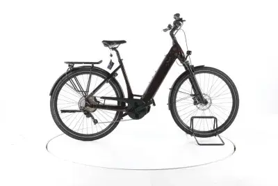 Stevens E-Triton Trekking E-Bike Tiefeinsteiger