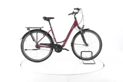 Raleigh Chester Fahrrad City & Trekking