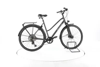 Diamant Elan Deluxe Fahrrad City & Trekking