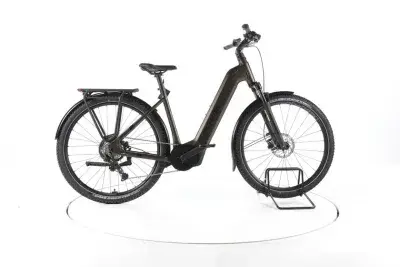 R Raymon Tahona Trekking E-Bike Tiefeinsteiger 2024