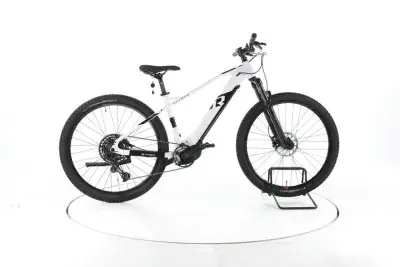 R Raymon Hardray E7.0 29 E-Bike