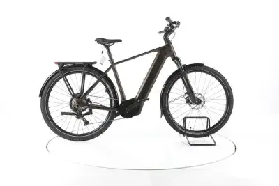 R Raymon Tahona Trekking E-Bike 2025
