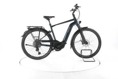 Pegasus Premio EVO 11 Trekking E-Bike