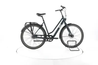Gazelle Esprit Belt Fahrrad City & Trekking