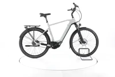 Victoria eManufaktur 11.8 City E-Bike