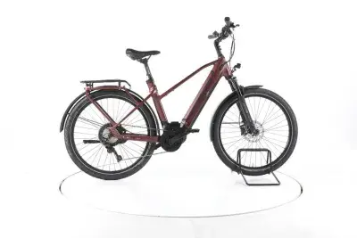 EBIKE 13ZEHN Trekking E-Bike