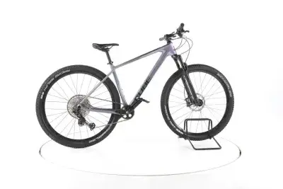 Cube Access WS C:62 Pro Fahrrad Hardtail