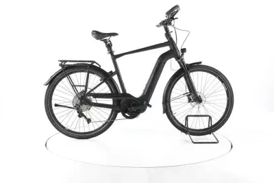Pegasus Premio EVO 10 Lite Comfort Trekking E-Bike