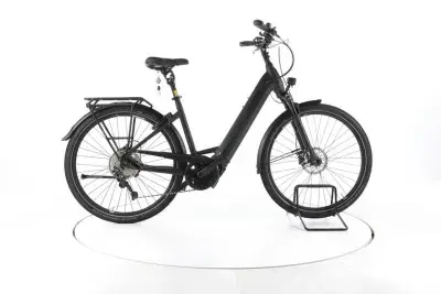 Pegasus Premio EVO 10 Lite Trekking E-Bike Tiefeinsteiger