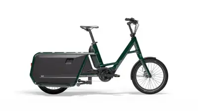 QiO Long P9 Elektro-Cargorad 9-Gang Shimano Forest green