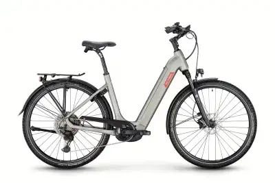 Victoria Manoc 6 - Bosch Performance CX & 750 Wh Akku - Damen 46 cm Stardust silver matt