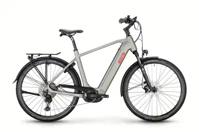 Victoria Manoc 6 - Bosch Performance CX & 750 Wh Akku - Herren 50 cm Stardust silver matt