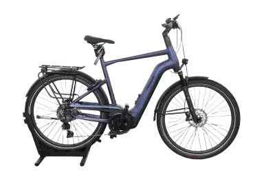 Pegasus Strong EVO 10 Lite | Upway, Gebrauchtes Ebike