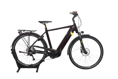 Victoria e Trekking 12.8 | Upway, Gebrauchtes Ebike