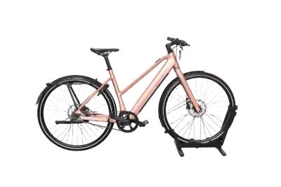 Riese & Müller UBN Seven singlespeed | Upway, Gebrauchtes Ebike