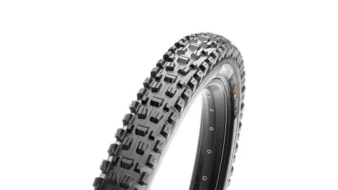 Maxxis Assegai DH WT TLR 29 Zoll