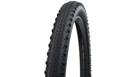 Schwalbe Thunder Burt Evo SGR 29