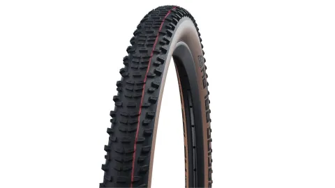 Schwalbe Racing Ralph Evo SR 29