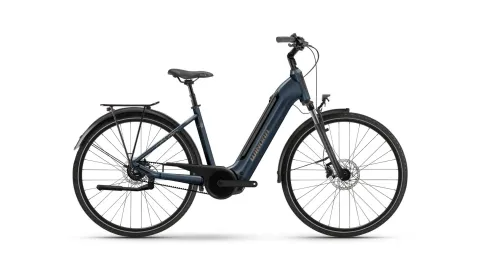 Winora TRIA R5f Low