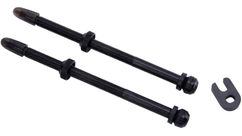 Schwalbe Ventil Tubeless 100 mm